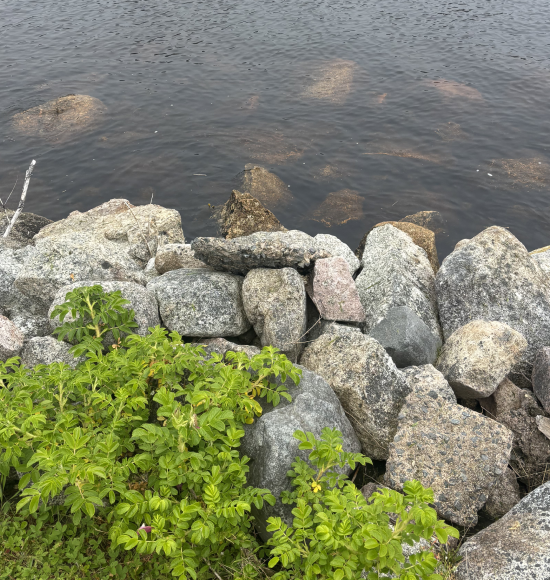 Affordable Riprap Installations