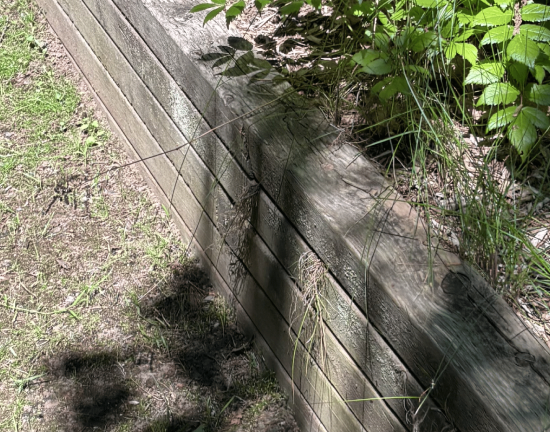 Affordable Timber Walls