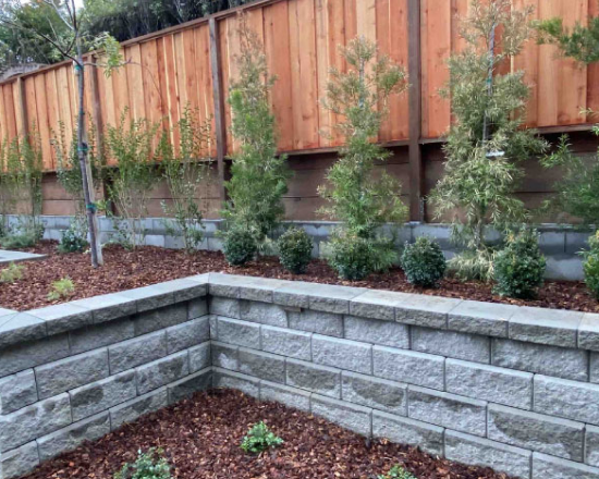 Beautiful Garden Borders