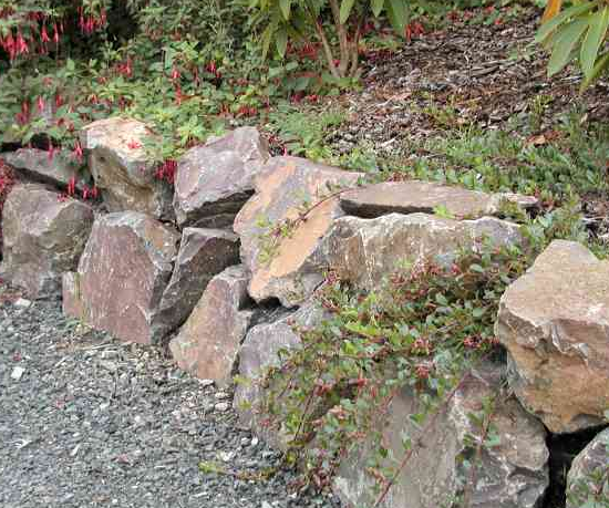 Custom Stone Wall Installations