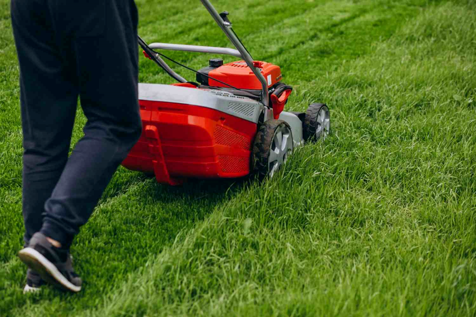 Keeping Lawn Edges Neat