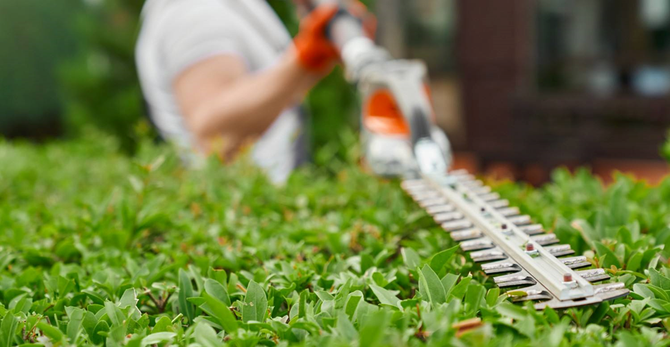 Lawn Care Beyond Mowing